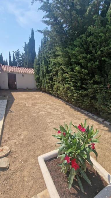 Jolie Villa Piscine A 15 Min Du Barcares 萨勒斯勒沙托 外观 照片