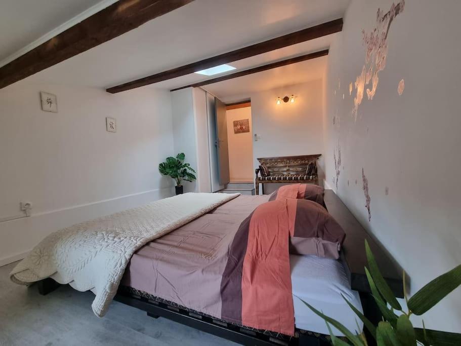 Jolie Villa Piscine A 15 Min Du Barcares 萨勒斯勒沙托 外观 照片
